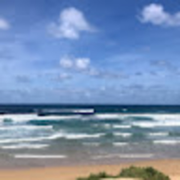 Meet your Posher, Jane - Picture 1 of 1